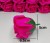 1ffbb0e09fb6a4ff15bcccc94d0904aa